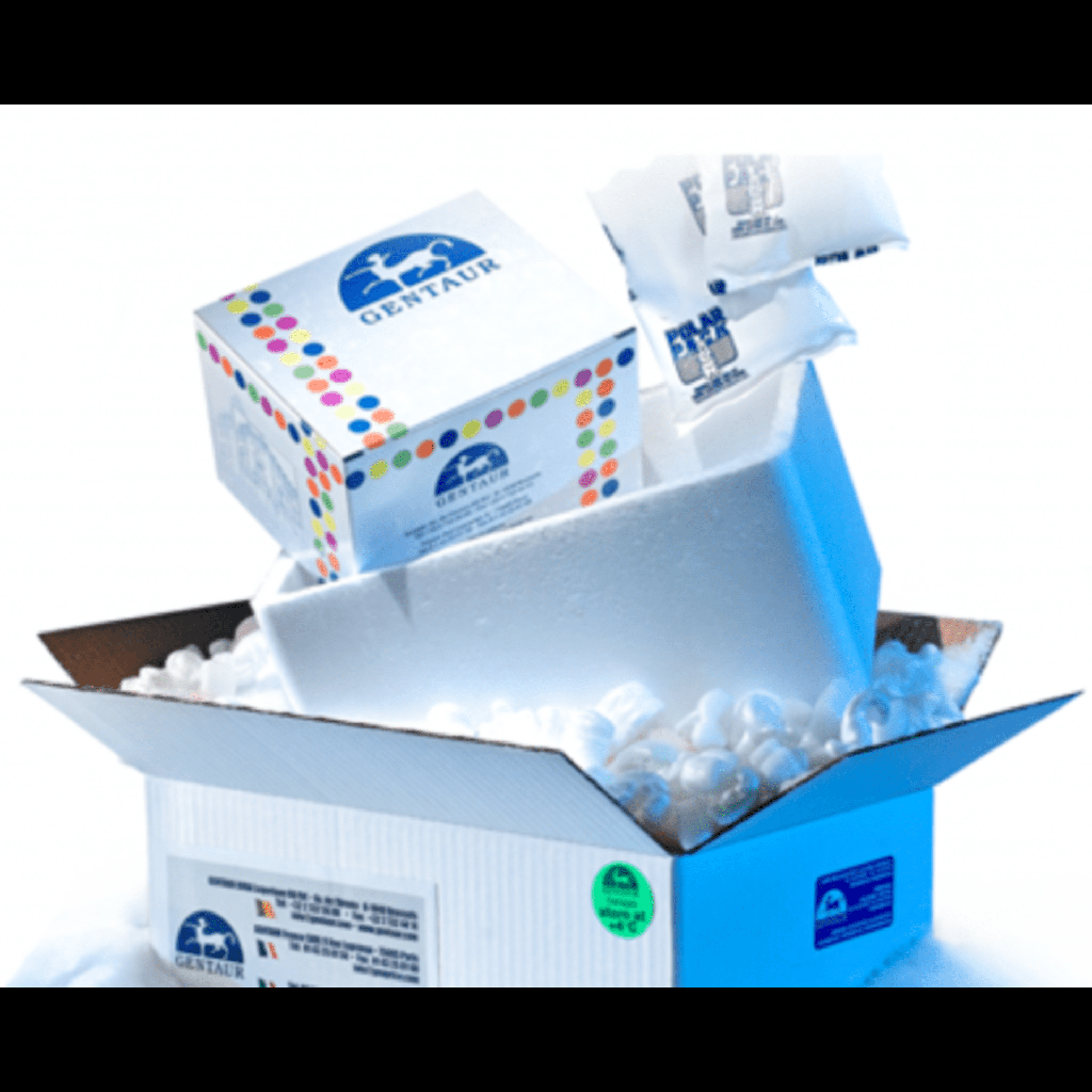 BCA Protein Quantification Kit -60T(12ml)