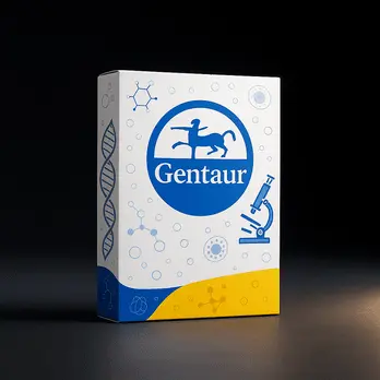 N-Methyl-D-glucamine Hydrochloride [for Buffer] - 5g