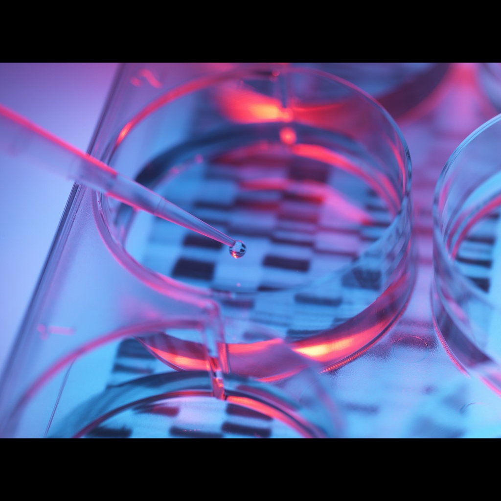 Amplirun® Streptococcus Pneumoniae DNA Control size: 10,000size:20,000 c/µL